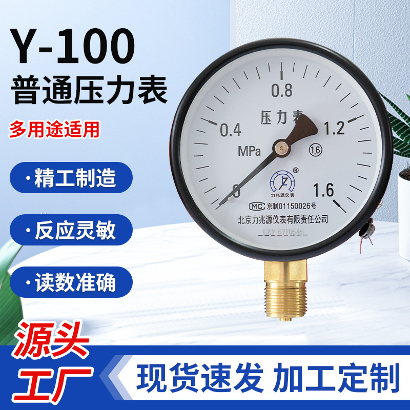 Stainless Steel Pressure Gauge Y-100 for Water Pressure, Air Pressure, Boiler, Water Pump, Chemical Pipeline, and Stainless Steel Vacuum Pressure Gauge