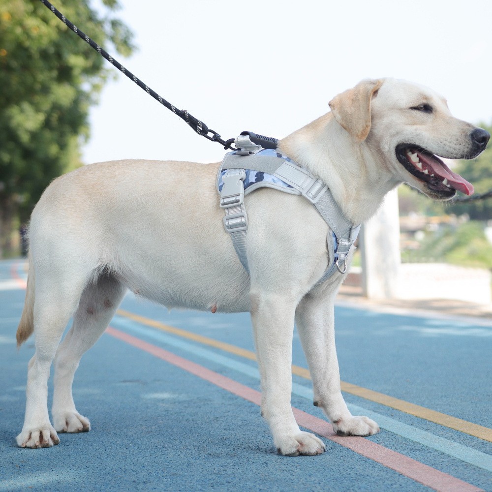 Transfronterizos mascotas correa de tracción tipo chaleco correa de perro a prueba de explosiones perro reflectante corda de tracción perro mayorista