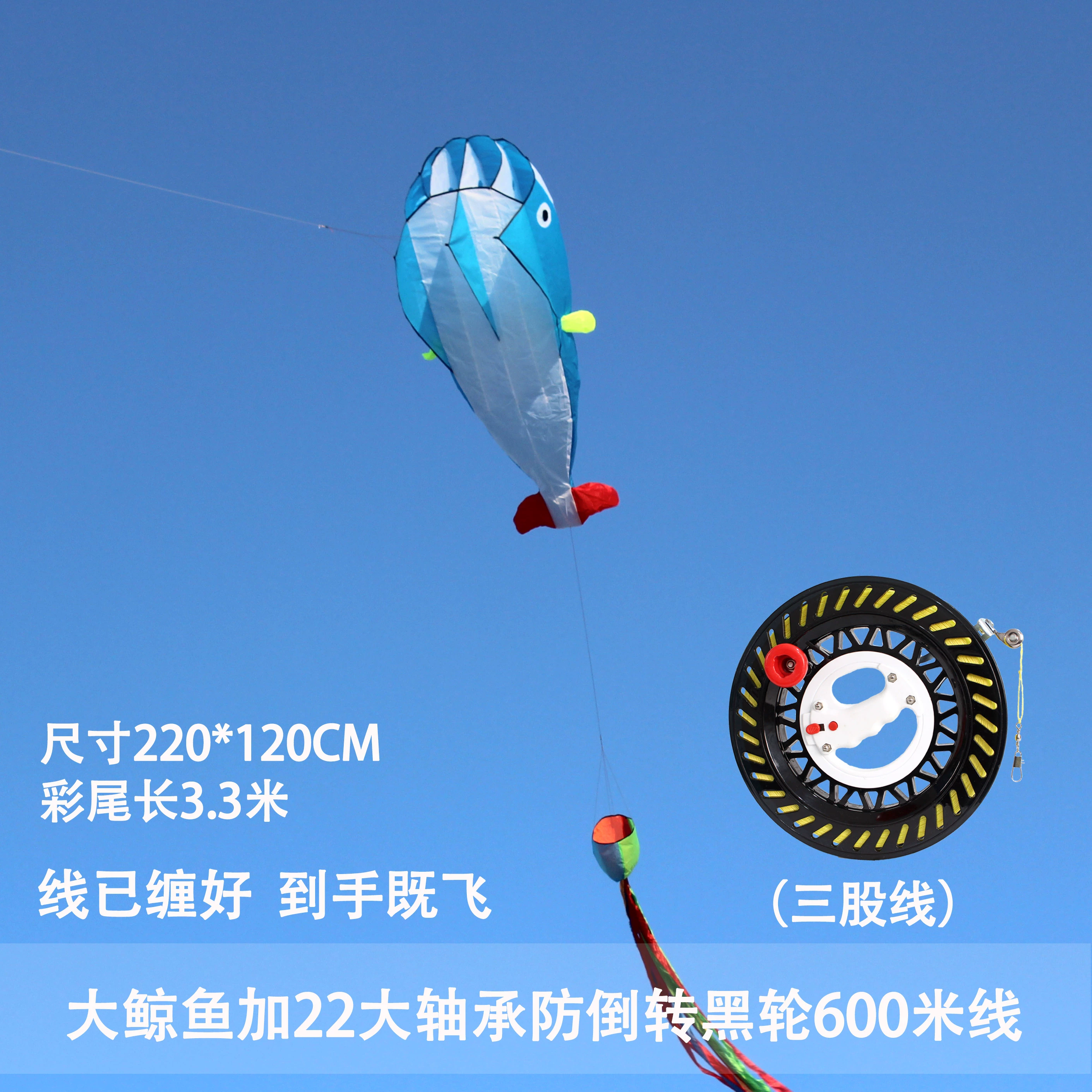 Kite for adults