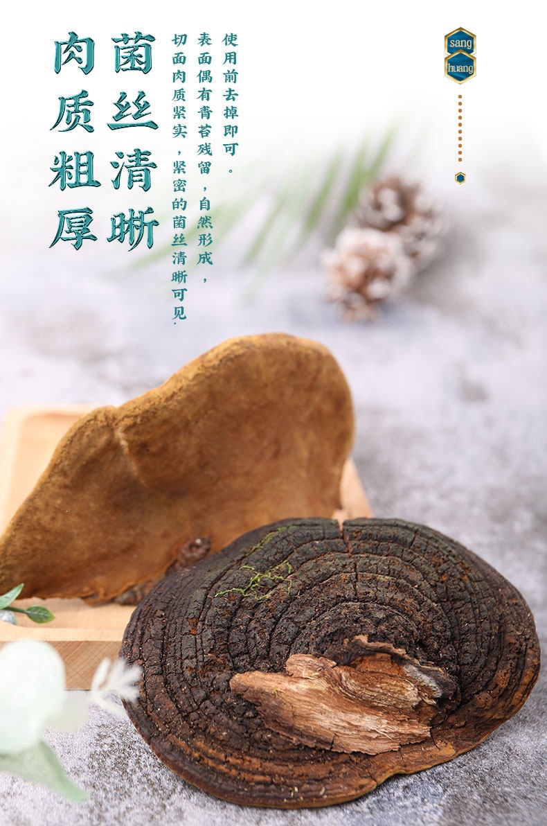 Sang Huang Mulberry Yellow Phellinus Mushroom with Ling Zhi Slices Herbal Tea Set 125g Plus 40g Jars specifications