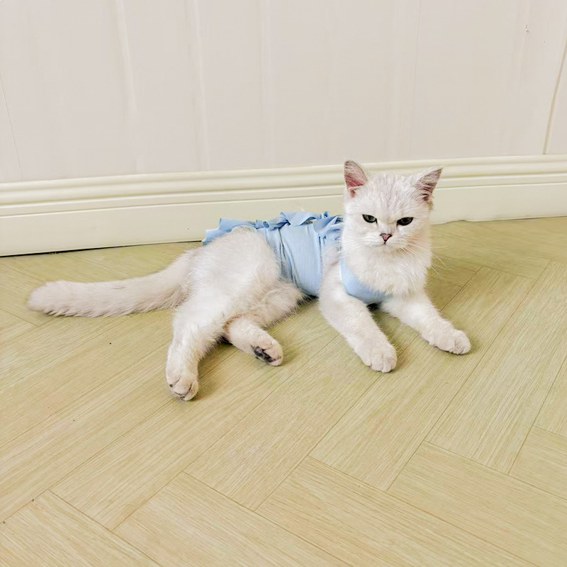 猫の避妊服、手術後の薬、離乳服、通気性生理パンツ、舐め防止、ハラスメント、ペット病院用品卸売|undefined