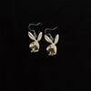 Cute earrings, European style, internet celebrity, simple and elegant design