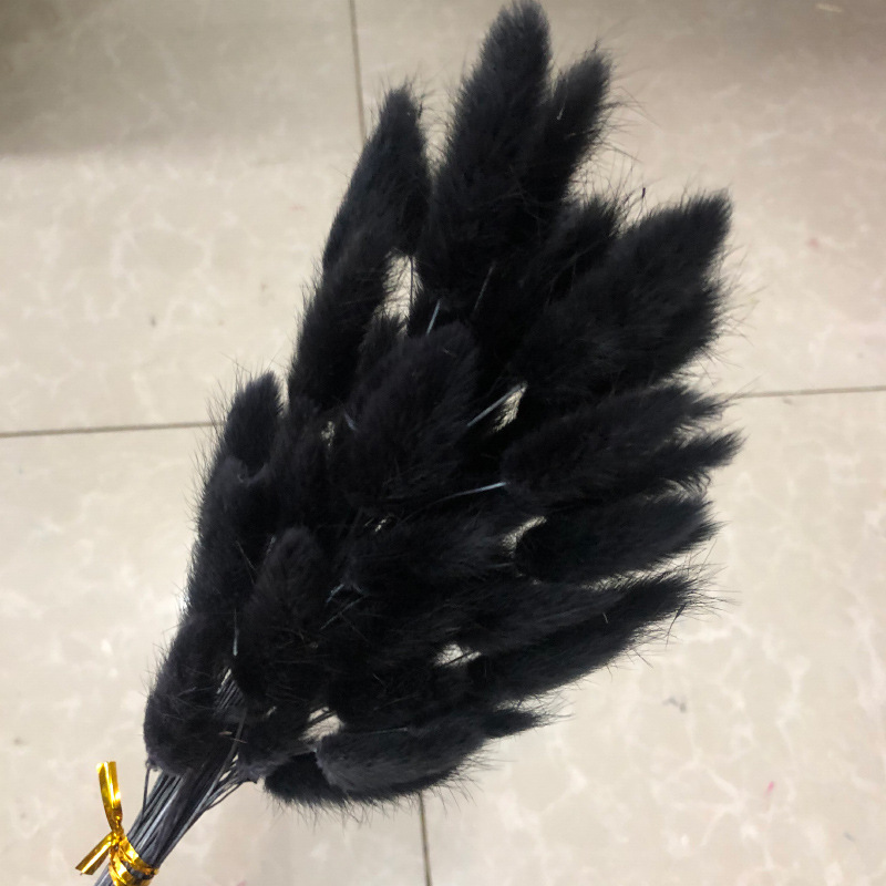 검은 토끼 꼬리 60개