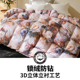 羽绒被;羽绒枕;羽毛、羽绒