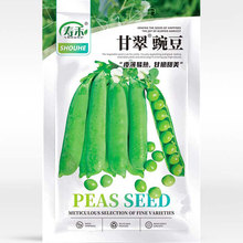 甜脆青豌豆種籽種子甜四季台灣長壽豆仁蔬菜孑散裝豌豆種籽碗豆種