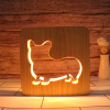 Creative night light, jewelry, table lamp, lights, wholesale, 3D, Birthday gift