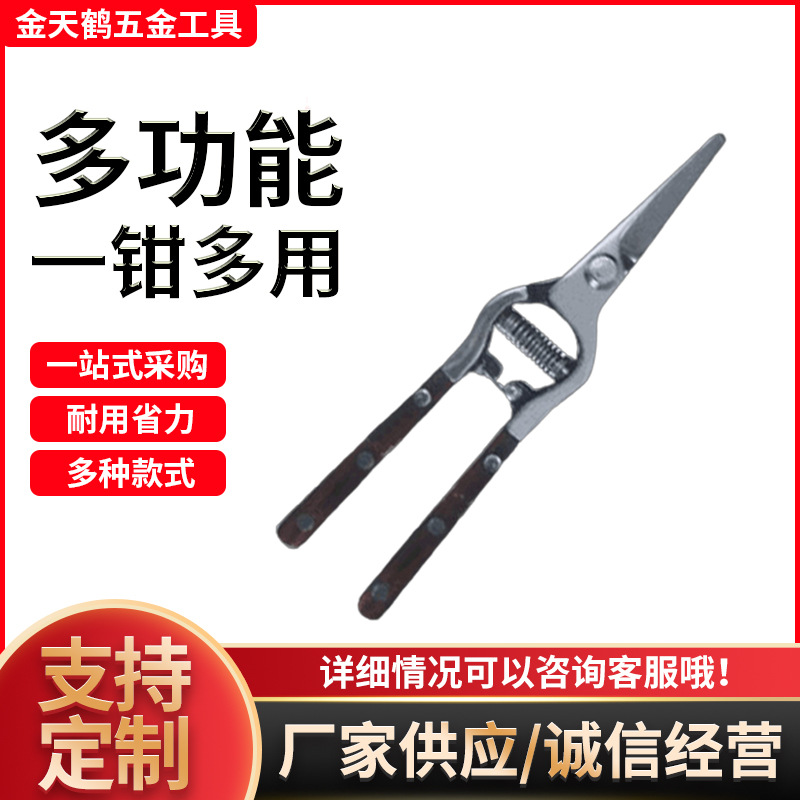 园林修枝果枝剪 8寸葡萄剪疏果稀果剪花园花艺剪刀翘头采果剪批发
