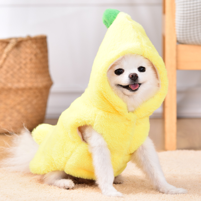 애완견 개 옷 가을과 겨울 따뜻한 변형 테디 파두 코기 고양이 강아지 봄 재미있는 도매