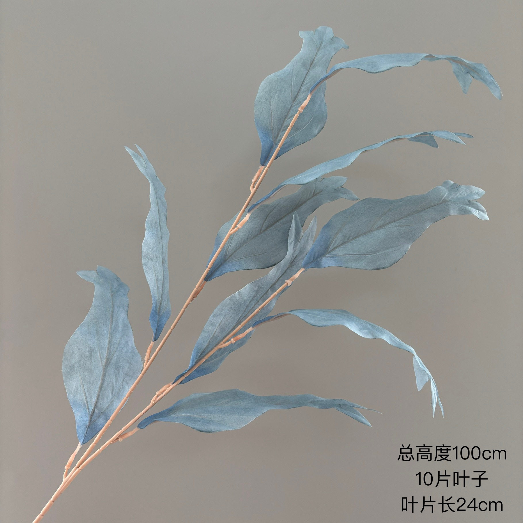 피쉬테일 리프(미스트 블루)