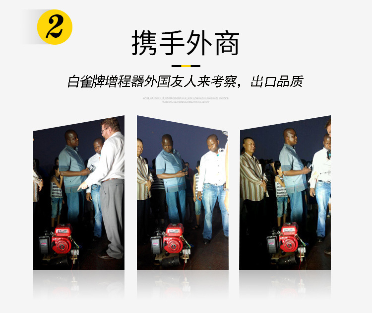 White Sparrow Brand 48V 6072V Electric Two-Wheeler, Two- and Three-Wheeled Vehicle, Four-Wheel Sedan, Inverter Range Extender, Gasoline Generator