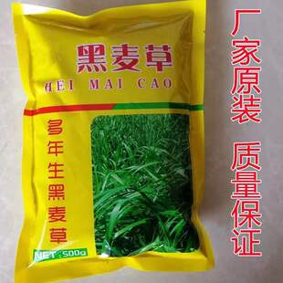 �S��ԭ�b�����ݷN�Ѷ������ļ��ͺ��߮a�����Bֳ�ݷNι�u��ţ���~