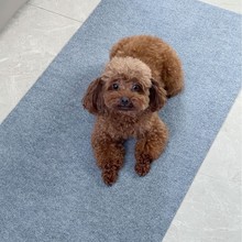 �M�T�| �l���g�_�|�N���|��������������P��ˮԡ�ҿɷ���ճ�N