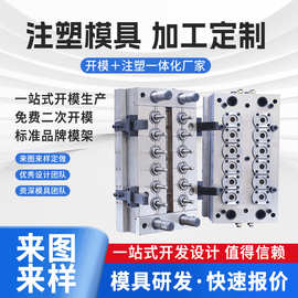 模具塑料塑胶注塑加 工厂宁波精密亚克力件制品开 模注塑模厂家