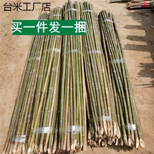 竹竿菜园搭架竹杆条米豆角黄瓜架子小竹子竹篱笆栅栏围栏架杆棍