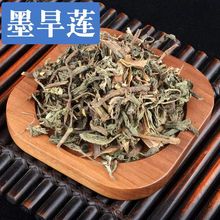 Ůؑ��ī��ɏ�M����ș��ș�������Ůؑ����ɐ�غͺ�ɏ��ɣ��ș��