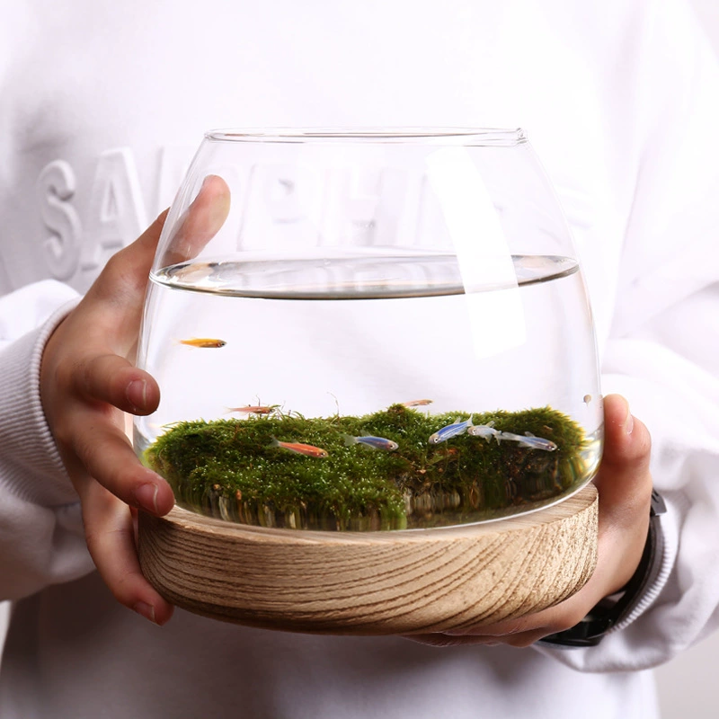 Креативный круглый стеклянный маленький аквариум в японском стиле экологическая бутылка Настольный микропейзаж подарок на день рождения DIY работа без воды