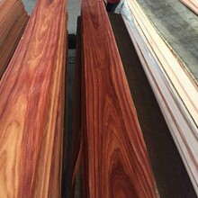 �t��֦ɽ�y�Ƽ�ľƤ �t��ֱ֦�yľƤ ������֦UV�� ������֦�N��