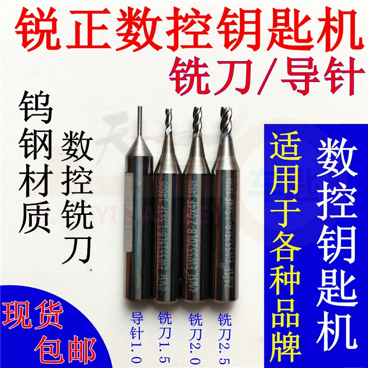 Заводской агент Ruizheng CNC ключевой станок фрезерный станок направляющая игла Кондор Дельфин Панда Альфа E9Z фрезерный станок с ЧПУ