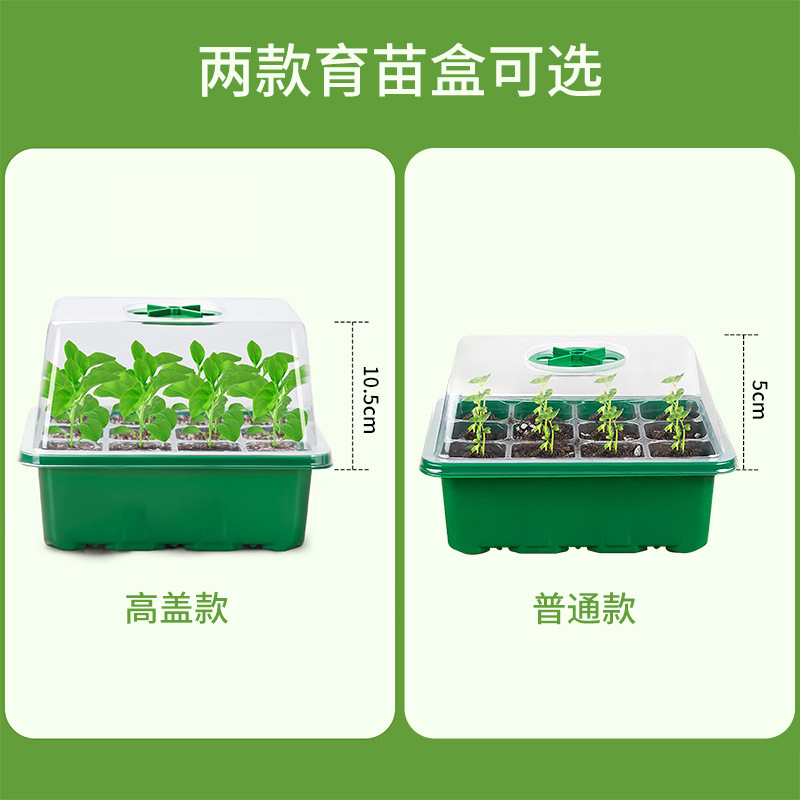 园艺6/12孔透气带灯光育苗盒家用种菜养护育苗盒种植孔穴专业播种