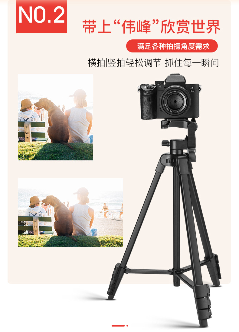 Weifeng 320 Tripod Phone Photography Stand Live Broadcast Fill Light Selfie Photo Short Video Recording Camera