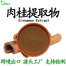 速溶肉桂粉10:1食品级肉桂提取物原料粉速溶调味品支持检测现货