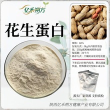 花生蛋白60% 食品级 植物蛋白粉 花生蛋白粉 花生提取物 现货