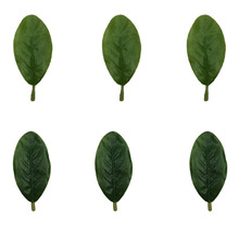 ����ˮ�������~�Gֲ�����~Ƭ�͏d�辰�bٻ��[���S�����l���~