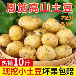 ��ʩС����10����]�������r���������S��ʿ�������R����߲�