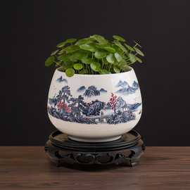 大号铜钱草水培花盆陶瓷金钱草特价清仓简约水养一叶莲碗莲水仙花