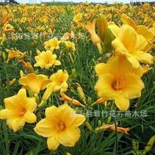 �������l����� ��������� ���̾G����ľ؛Դ���� ����ă�