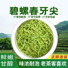 特级花果香碧螺春绿茶明前新春茶礼盒装250-500g茶叶批发清香