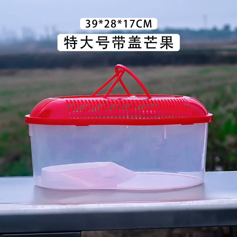 Transparent plastic pet box / small aquarium, portable ventilated tank, multiple sizes 10×7.5–39×28×17 cm