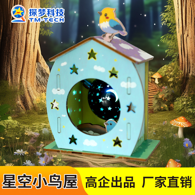 Children's Gifts for Primary School Students, Handmade Projection Lamp, Starry Sky Bird House Model, Technology Small Crafts, Educational Toys