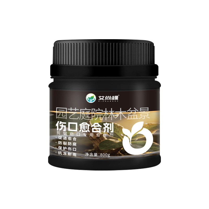 創傷治癒軟膏 800g×1本