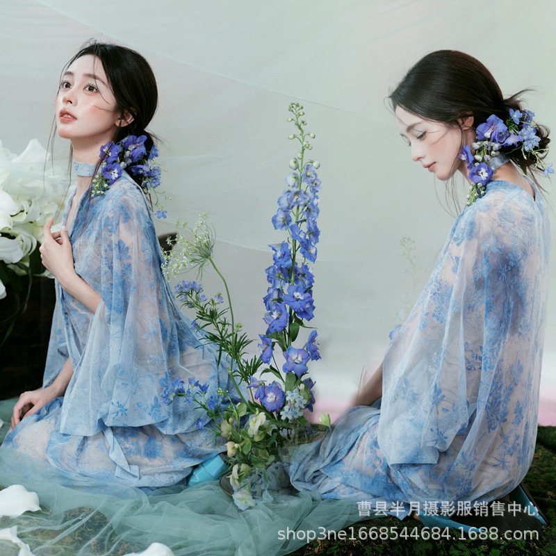 Photo Studio Retro Wedding Photo Theme Clothing New French Style Fugitive Princess Blue Dress Art Photo Photography Outfit
