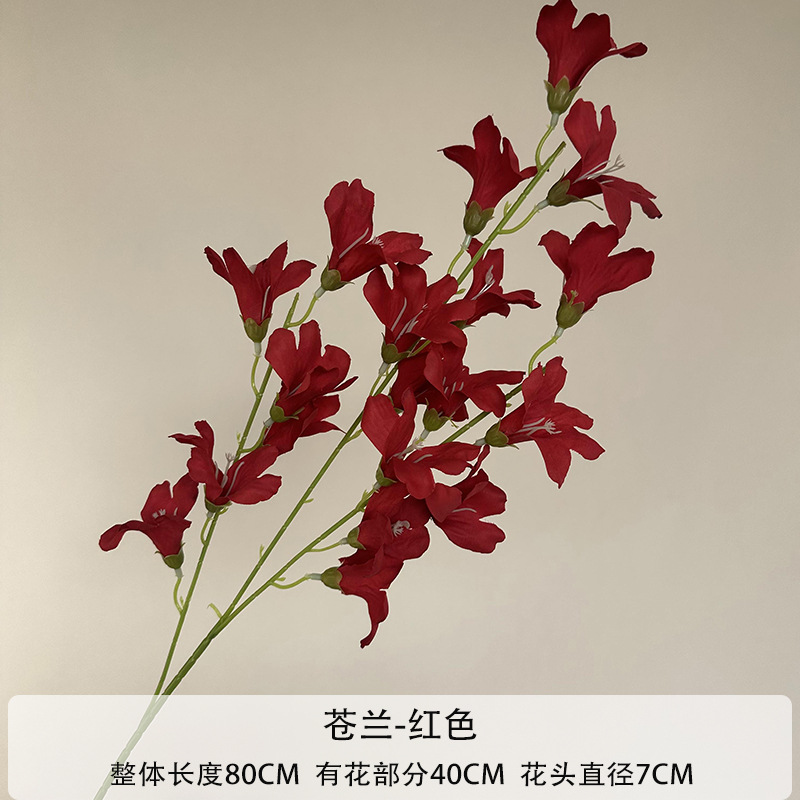 레드