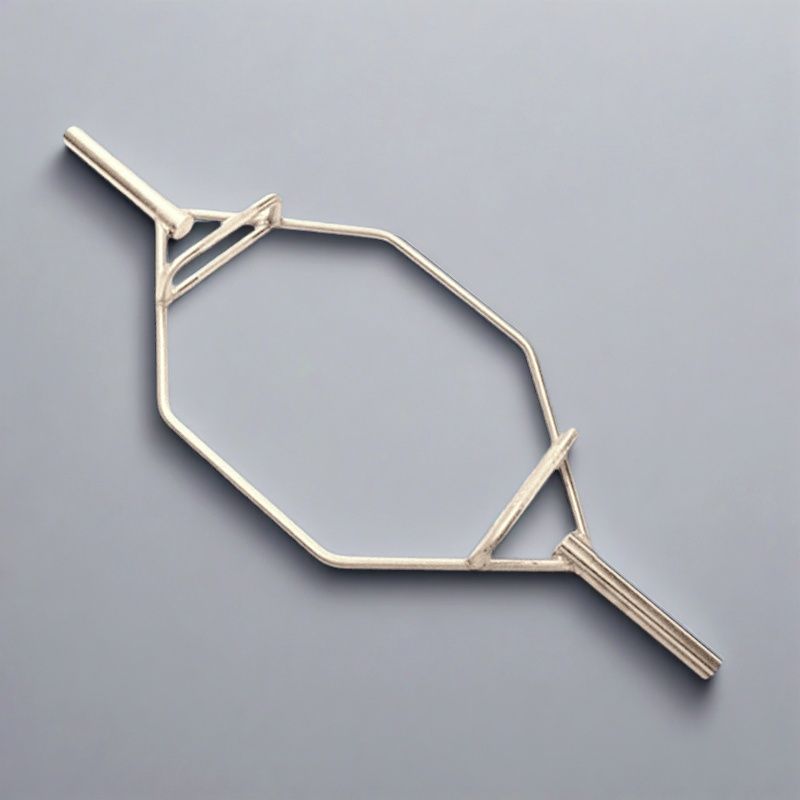 Ring Deadlift Bar Hexagonal Barbell Bar Hexagonal Ring Barbell Squat Deadlift Gym Black Silver