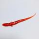 5 Colors Soft Worms Fishing Lures Soft Baits Fresh Water Bass Swimbait Tackle Gear