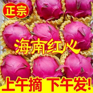 �t�Ļ��������𮔼� �t�����rֱ�������Ꭷˮ�����l����