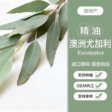 �����ȼ������ͰĴ������a�^���Ͱ�Ħ���;��ͷ����η��������l