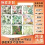 办公室宿舍植物热带抱枕