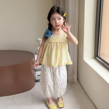 Ůͯ���c���b2026�ļ��¿ͯ�o�䱳�Č������\ѝŮ�����ɼ���