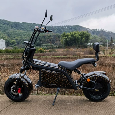 Motorcycle, Elektrikli motosikletlər
