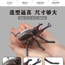 ���x���ܛ�z��������ײͺ���Λρģ��֩���۷䃺ͯ��̿����J֪