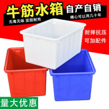加厚牛筋水箱塑料活鱼桶卖鱼养鱼水产养殖家用储水桶大容量塑料桶