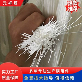 滤膜;电泳设备;反渗透设备