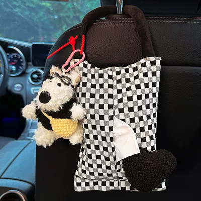 2025 New Model, High-End Car | Car tissue box/set
