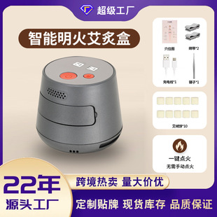 Cross-Border Intelligent Smokeless Moxibustion Box Household Portable Cold-Repelling Health Moxibustion Instrument Moxa Column Hot Compress Fumigation Instrument Moxibustion Tank