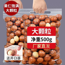 ʼζĹ500g/  칫ʳиɹС