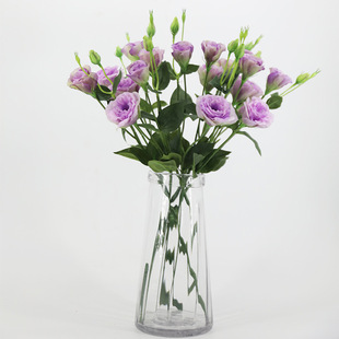 ��۹���đ�����^�۹��������ٻ����컨�Ҿӻ�c�zӰ���ܻ�ˇ